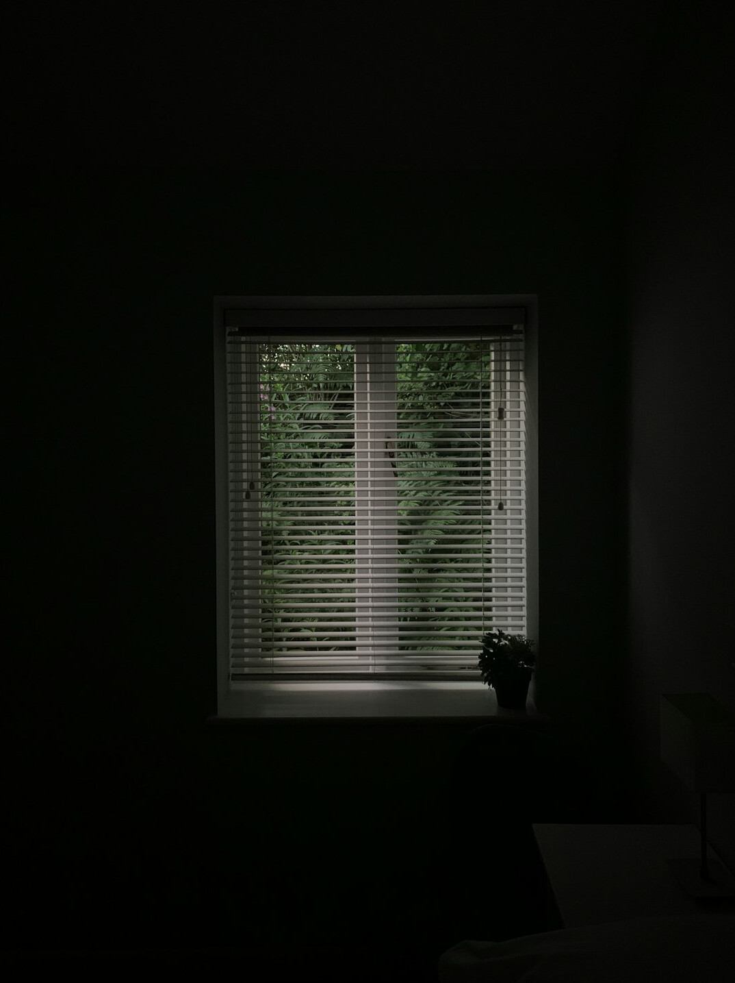 dark mystery setting